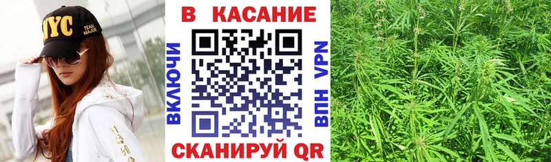 Купить наркотики цена Тында АМФ  Марихуана  Меф мяу мяу  А ПВП  Гашиш  Cocaine 