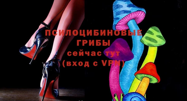 индика Арсеньев