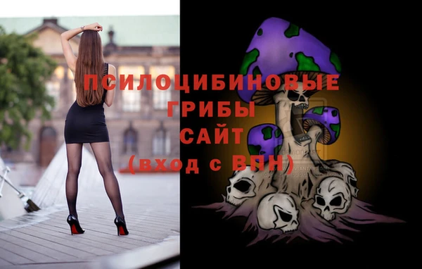 мет Аркадак