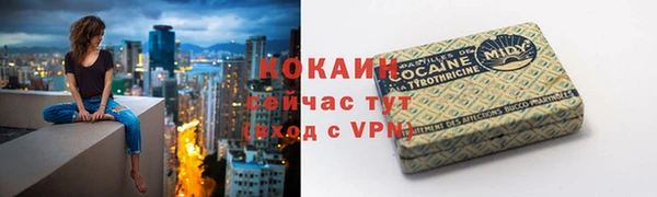индика Арсеньев