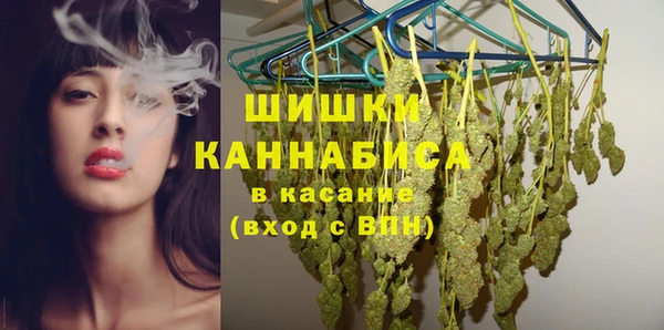 индика Арсеньев