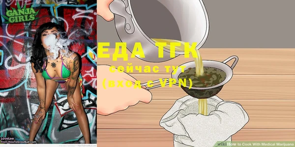 индика Арсеньев