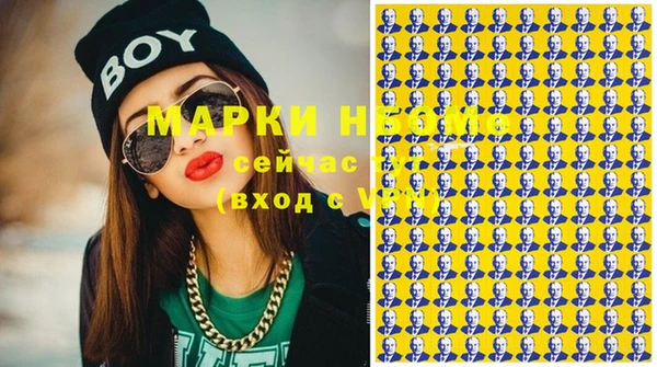 индика Арсеньев