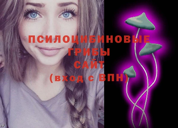 мет Аркадак