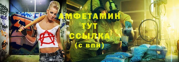 индика Арсеньев