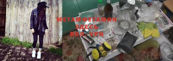 индика Арсеньев