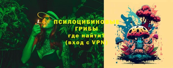 индика Арсеньев