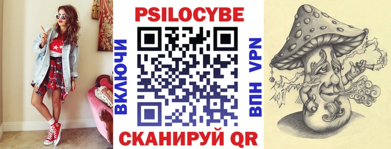 кракен вход  закладки  Тында  Псилоцибиновые грибы Psilocybine cubensis 